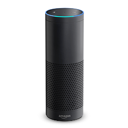 Amazon Echo (1. Generation)